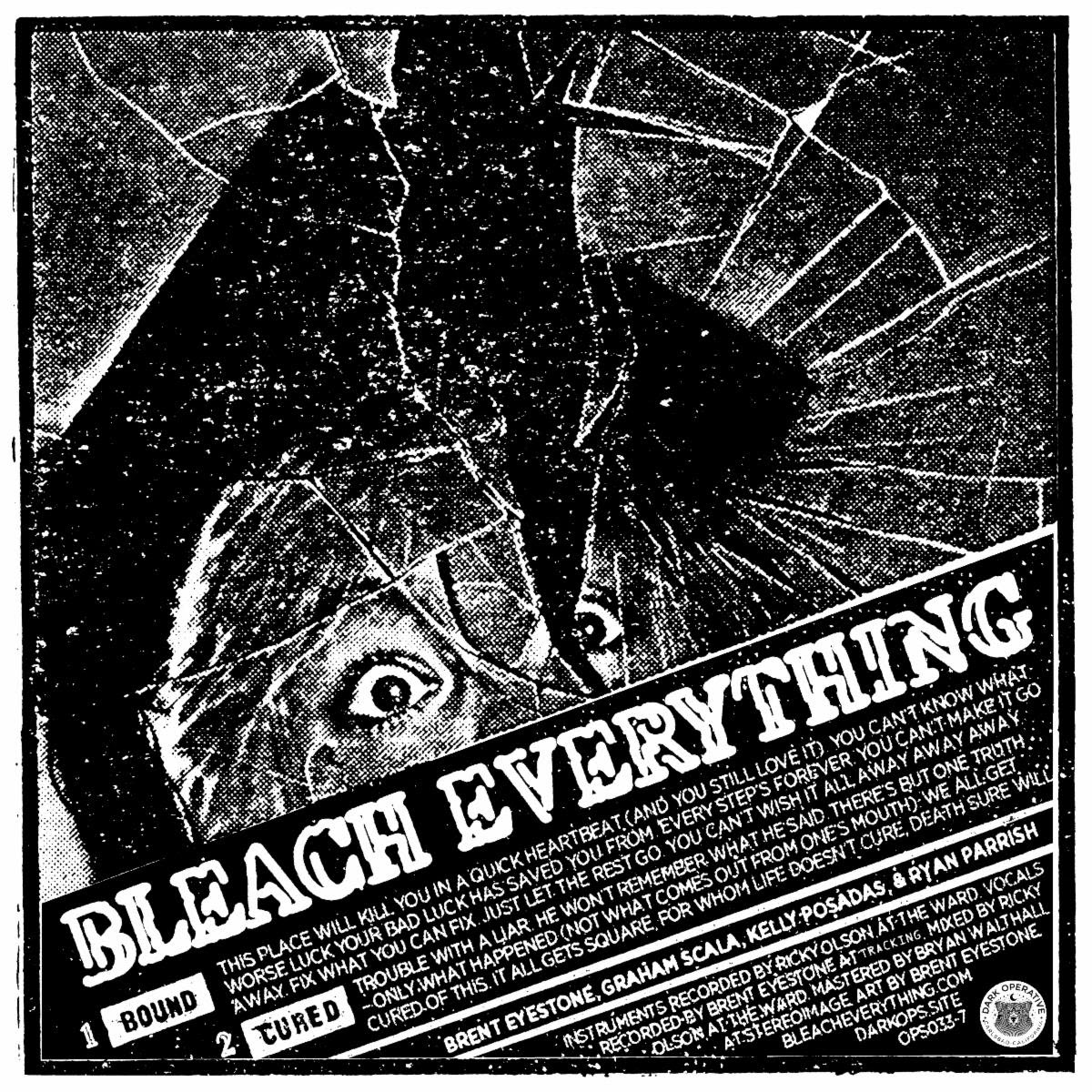 Bleach Everything